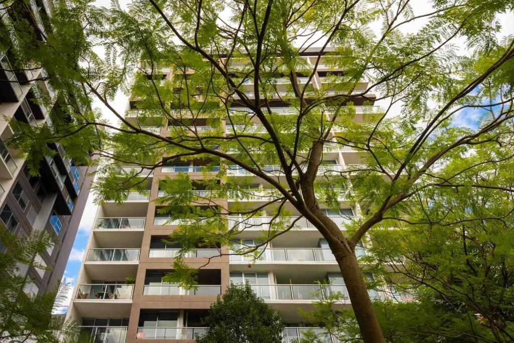 City Apartment, Pool & Carpark أدليد المظهر الخارجي الصورة